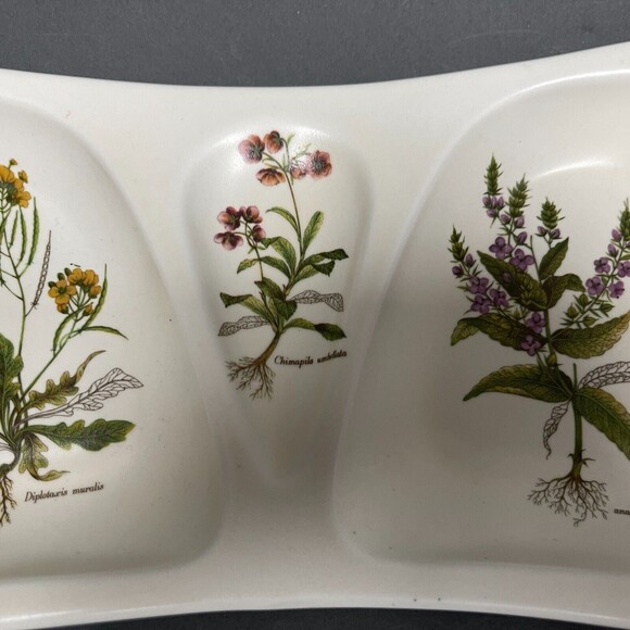 Poole Pottery Divided Serving Dish England Country Lane Trinket Flowers Roots - Picture 3 of 6